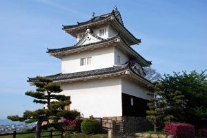Castillo Marugame (丸亀城)