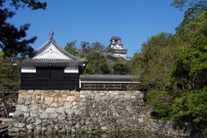 Castillo de Kochi (高知城)