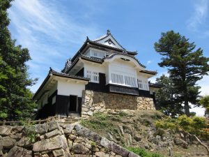 Castillo de Bitchu-Matsuyama (備中松山城)