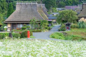 Kayabuki no Sato かやぶきの里（美山）