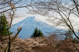 Monte Fuji