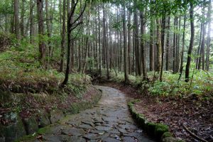 Nakasendo