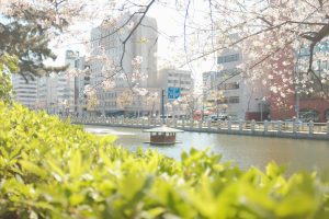 Matsuyama (松山市)
