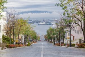 Hakodate (函館市)