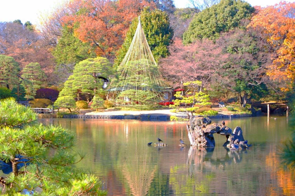 Parque Maruyama (円山公園)