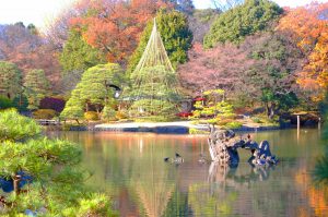 Parque Maruyama (円山公園)