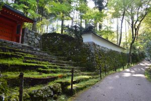 Templo Sanzen-in (三千院)