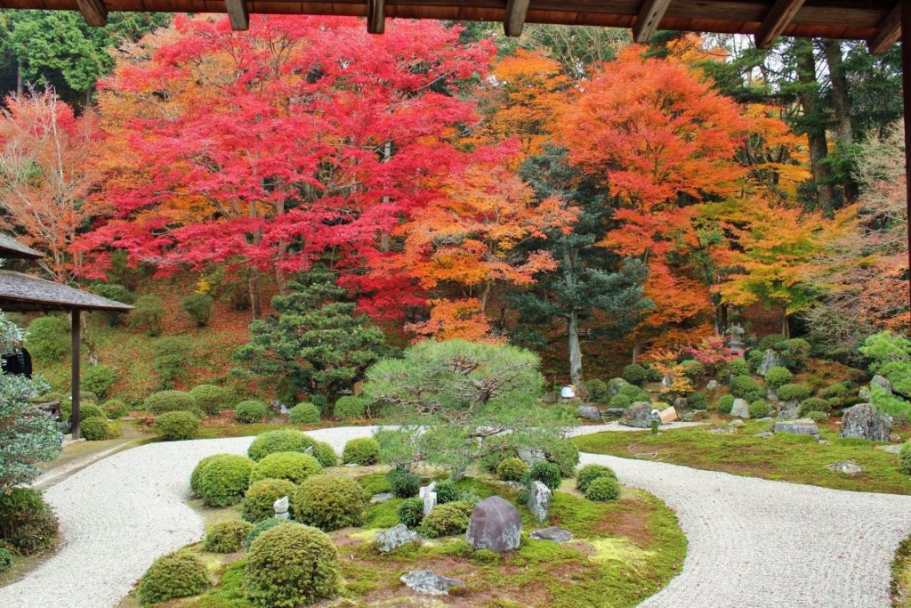 Templo Manshuin (曼殊院門跡)