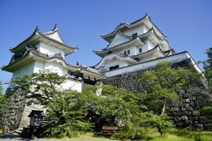 Castillo de Iga Ueno (伊賀上野城)