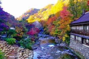 Takaragawa Onsen (宝川温泉汪泉閣)