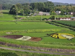Aldea de Takayama (高山村)