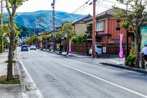 Tono (遠野市)