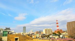 Utsunomiya (宇都宮市)