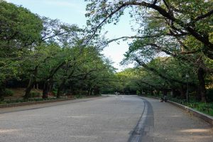 Parque de Ueno (Tokio) (上野恩賜公園)