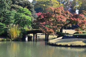 Jardines Rikugien (六義園)