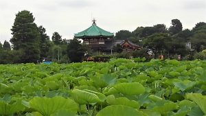 Templo Shinobazu Pond Bentendo (不忍池辨天堂)