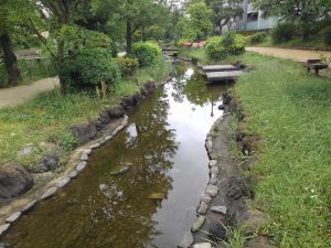 Parque Oyokogawa Shinsui (大横川親水公園)