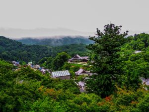 Sakurai (桜井市)