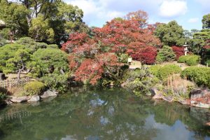 Jardín Sorakuen (相楽園)