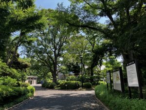 Parque Yokoamicho (横網町公園)