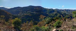 Monte Kasayama (笠山)