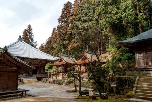 Monte Shosha (書写山)