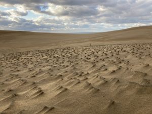 Dunas de arena de Tottori (鳥取砂丘)