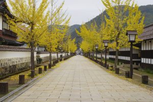 Calle Tonomachi-dori (殿町通り)