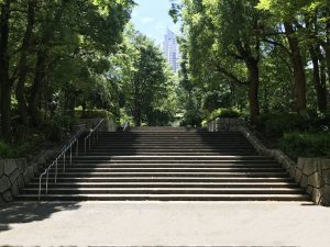 Parque Shinjuku Chuo (新宿中央公園)