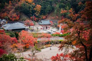 Parque de Minoo (箕面公園)