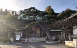 Templo Hase-dera (長谷寺)