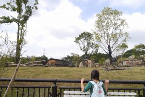 Zoorasia (ズーラシア)
