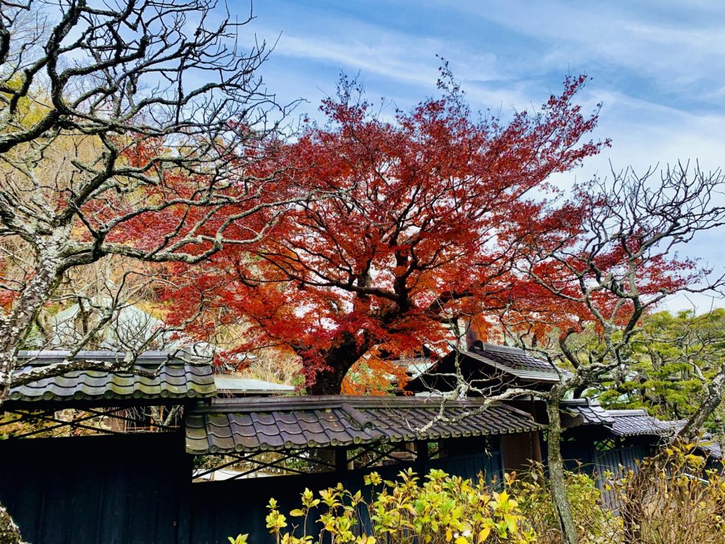 Templo Tōkei-ji (東慶寺)