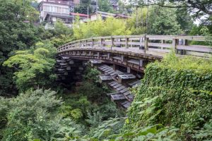 Puente Saruhashi (猿橋)