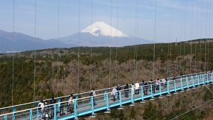 Mishima Sky Walk (三島スカイウォーク)