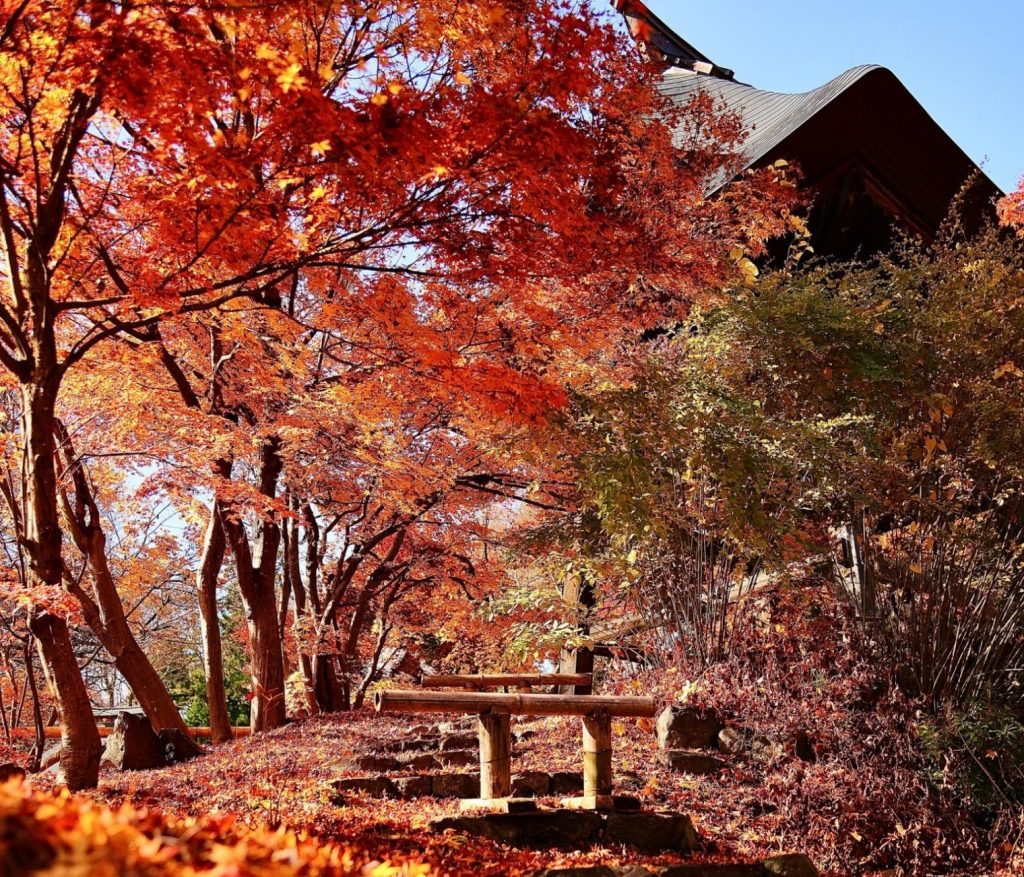 Templo Seisuiji (清水寺（せいすいじ))