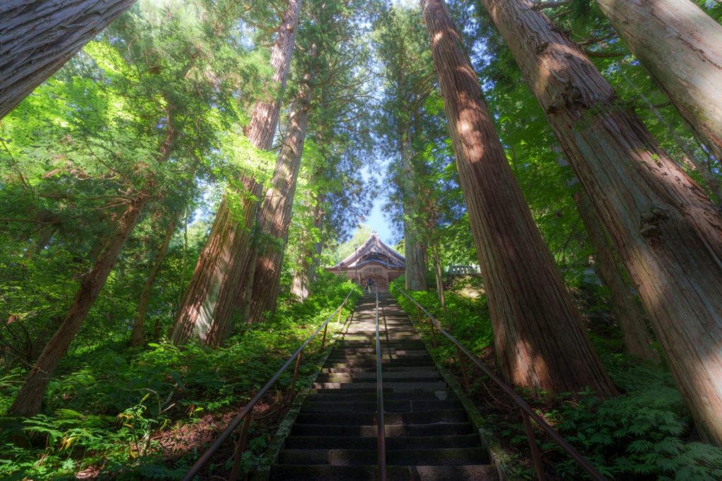 Santuario Togakushi Jinja (戸隠神社 中社)