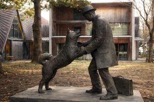 Estatua de Hachiko & Hidesaburo Ueno (東京大学農学資料館)