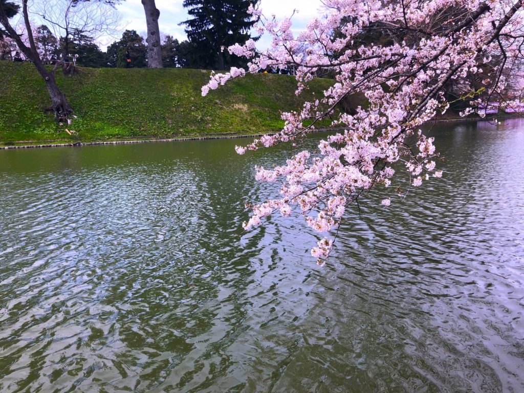 Parque Mogami (最上公園)