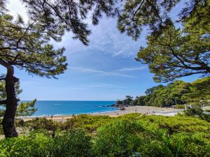 Parque Katsurahama (桂浜公園)