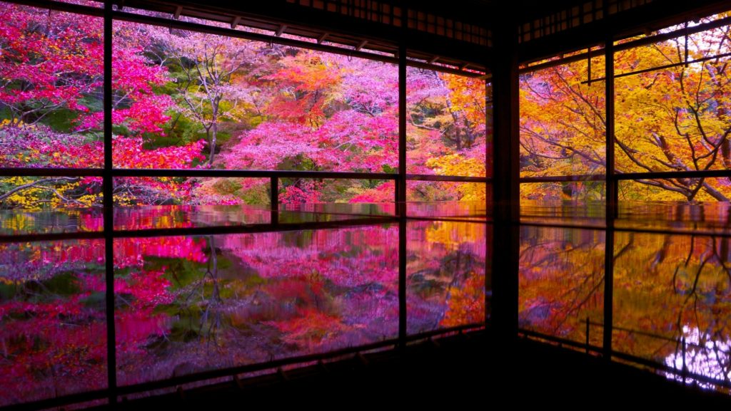 Templo Rurikō-in (瑠璃光院)