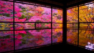 Templo Rurikō-in (瑠璃光院)