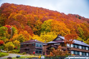 Sukayu Onsen (酸ヶ湯温泉旅館)