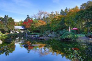 Jardín Manabe (真鍋庭園)
