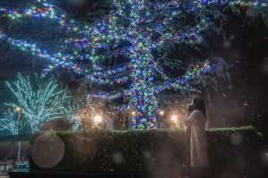Parque floral de Nabana no Sato (なばなの里)