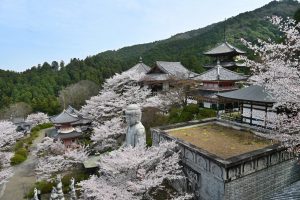 Templo Tsubosaka-dera (壷阪寺)