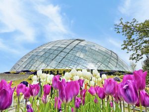 Parque floral de Tottori Hanakairo (とっとり花回廊)