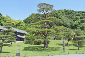 Jardín Sengan-en (仙巌園)