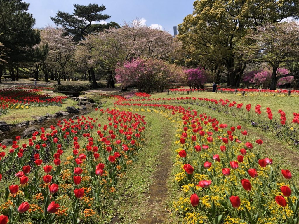 Parque Beppu (別府公園)