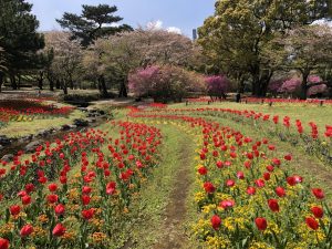 Parque Beppu (別府公園)